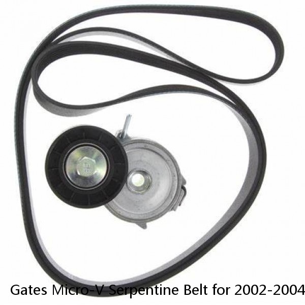 Gates Micro-V Serpentine Belt for 2002-2004 Chevrolet Silverado 1500 4.3L V6 gq #1 image